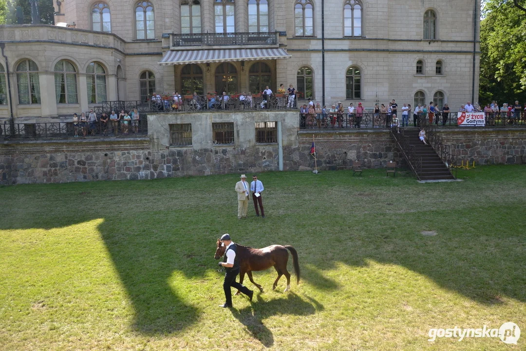 Rokosowo Horse Show 20224 - Konie i Powozy na Zamku Wielkopolskim w Rokosowie