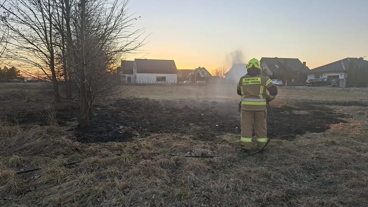 Akcja służb w Dobrzycy. Paliła się trawa [ZDJĘCIA]