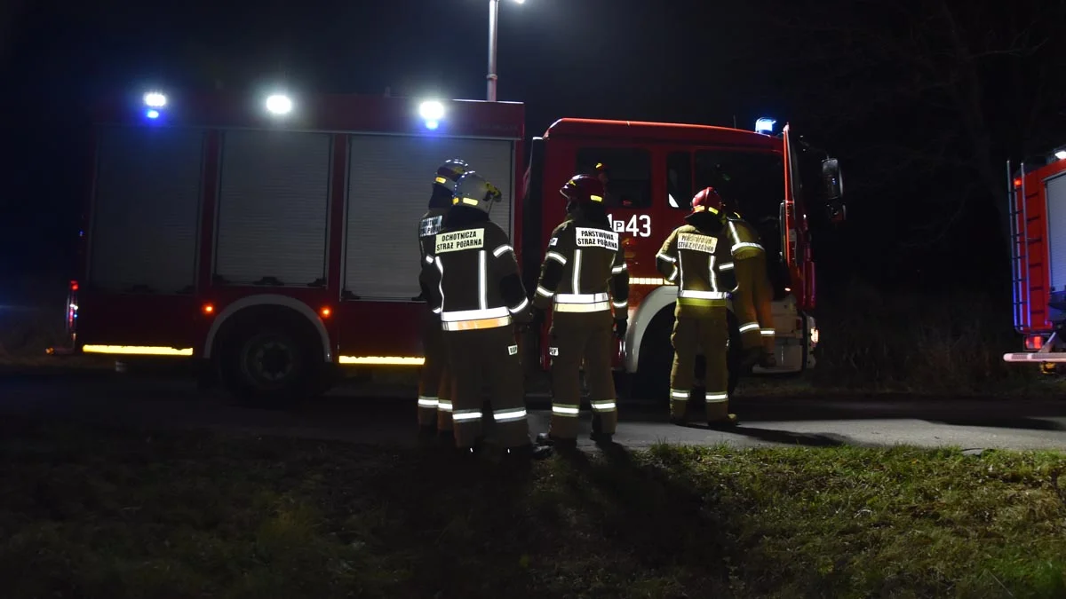 Paliła się wiata z drewnem w gminie Krobia. O mały włos ogień zająłby budynek mieszkalny - Zdjęcie główne