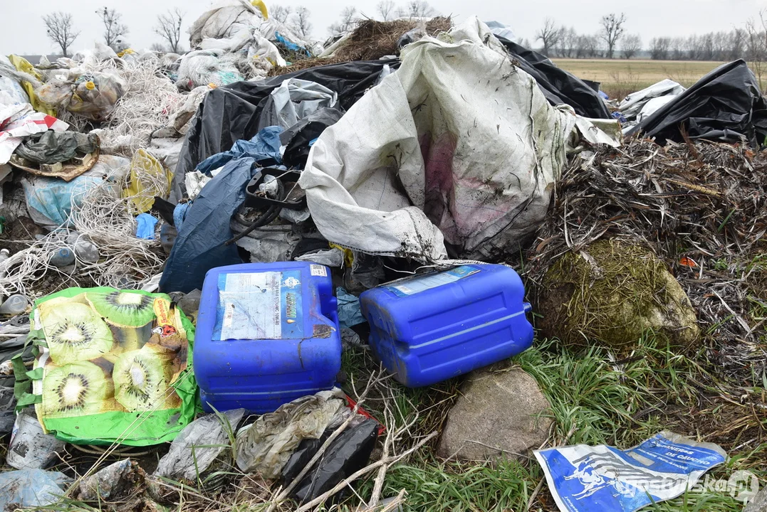 Ogromna hałda śmieci na polu w Żytowiecku