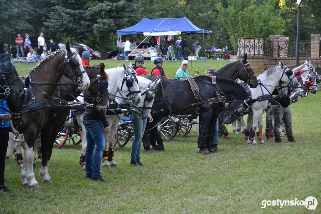 Rokosowo Horse Show 20224 - Konie i Powozy na Zamku Wielkopolskim w Rokosowie