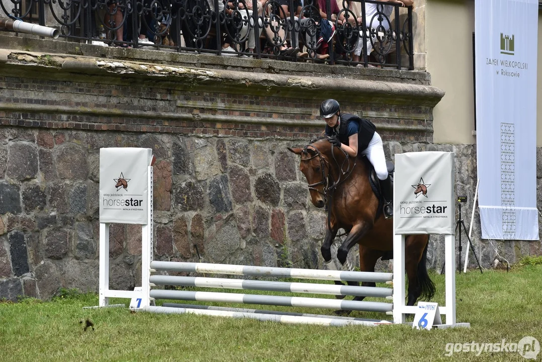 Rokosowo Horse Show - dzień drugi