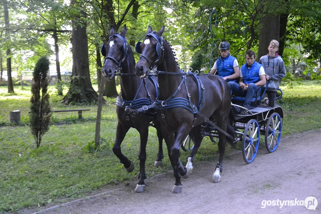 Rokosowo Horse Show 20224 - Konie i Powozy na Zamku Wielkopolskim w Rokosowie