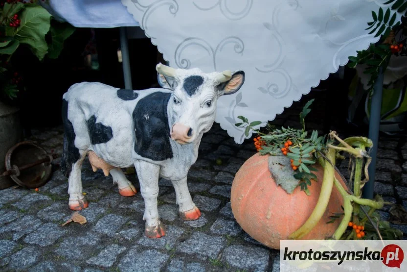 "Bitwa regionów" w Koźminie Wielkopolskim