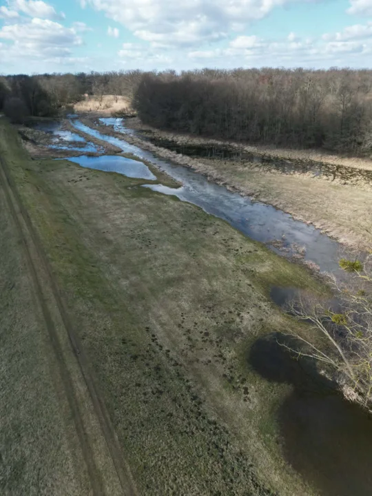 Światowy Dzień Mokradeł 2026