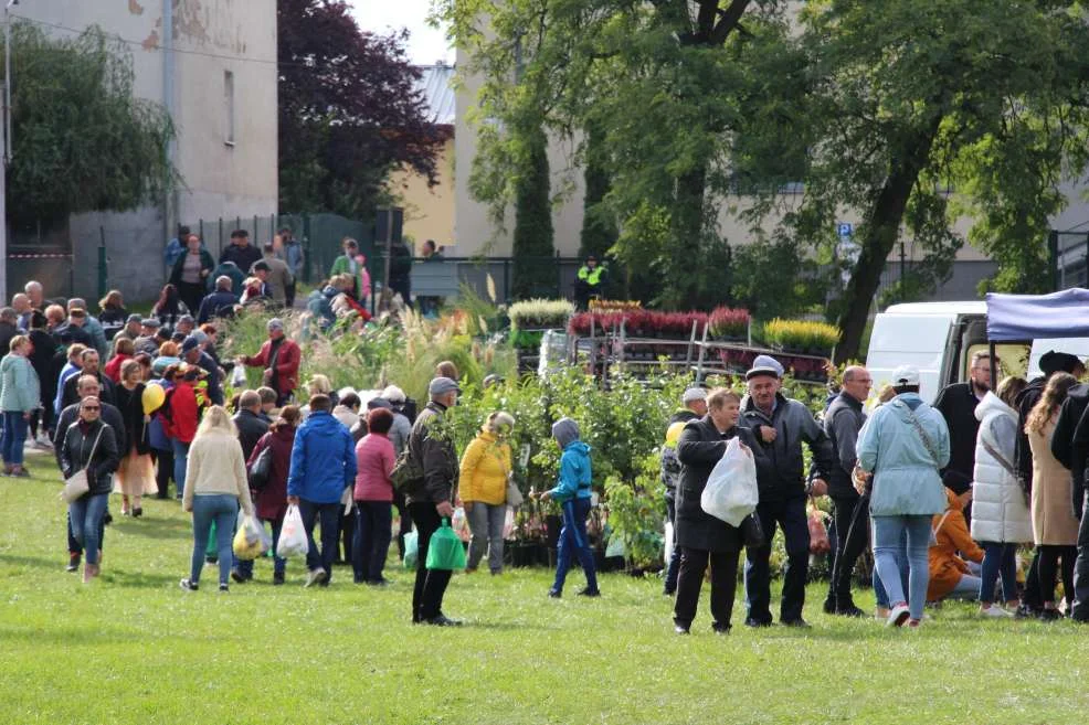 Wyróżnienie dla KGW w Witaszyczkach na targach w Marszewie