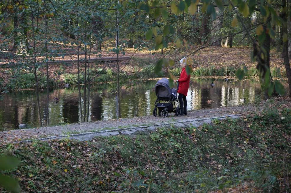 Lasek Szubianki w Jarocinie wyrózniony w konkursie Towarzystwa Urbanistów Polskich