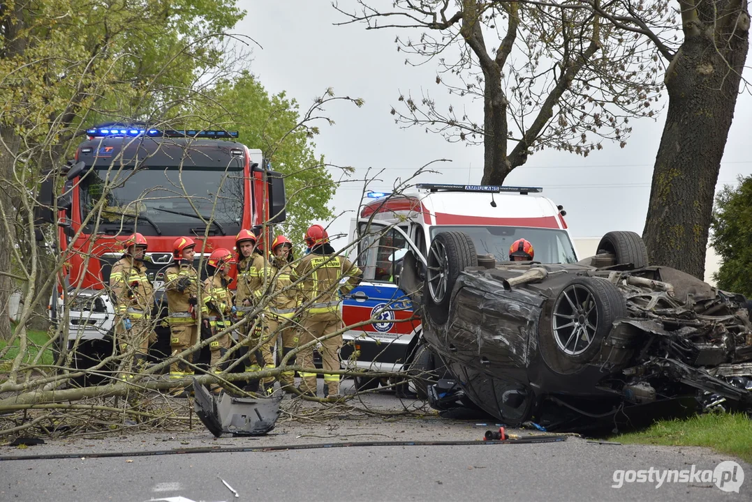 Zderzenie z drzewem na trasie Gostyń - Poniec