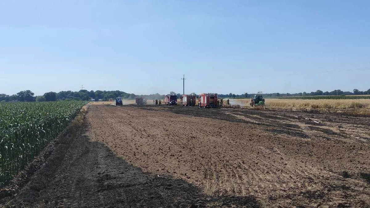 Pożar pola w Drzewcach. Ogień "przeskoczył" na zboże - Zdjęcie główne