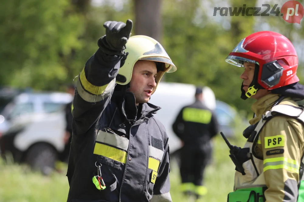 Pożar w lesie pomiędzy Zieloną Wsią a Dębnem Polskim