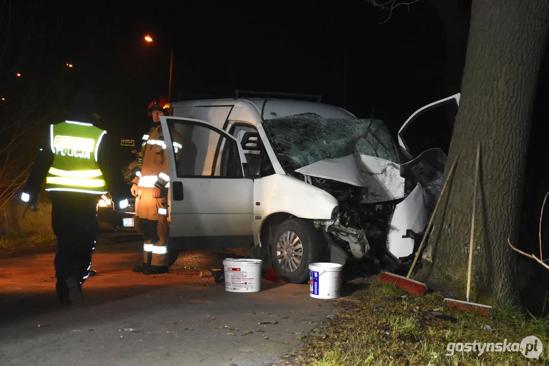 Czołówka z drzewem. Wypadek w Grodzisku (gm. Poniec)