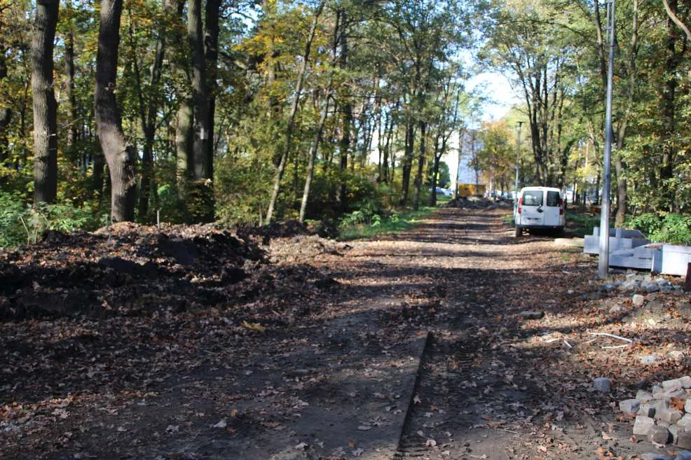 Park przy ulicy Szubianki w Jarocinie