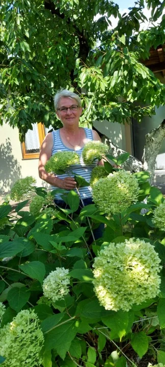 Urszula Strzelczyk z Jarocina. Pocztowiec, która spełnia się w ogrodzie