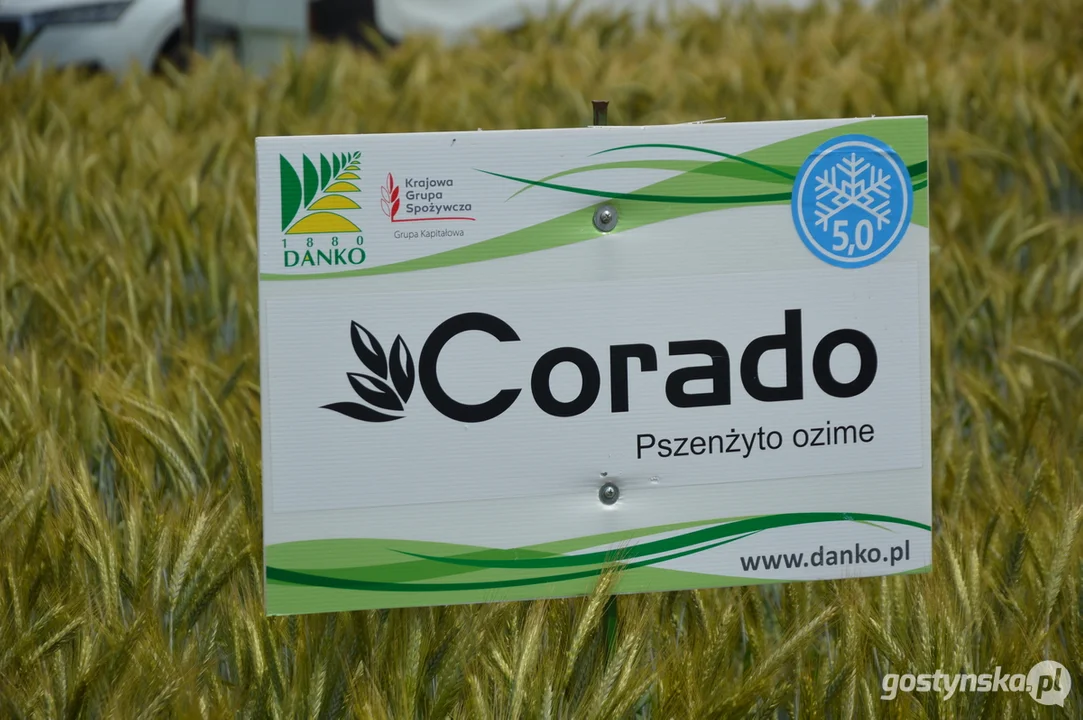 Dni Pola w Szelejewie 2025