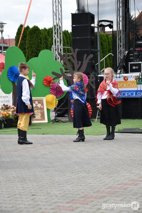 18. Prezentacje Zespołów Ludowych Wielkopolski w Borku Wlkp.