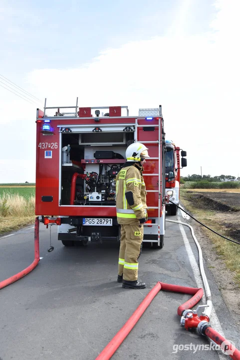 Pożar ścierniska w Daleszynie