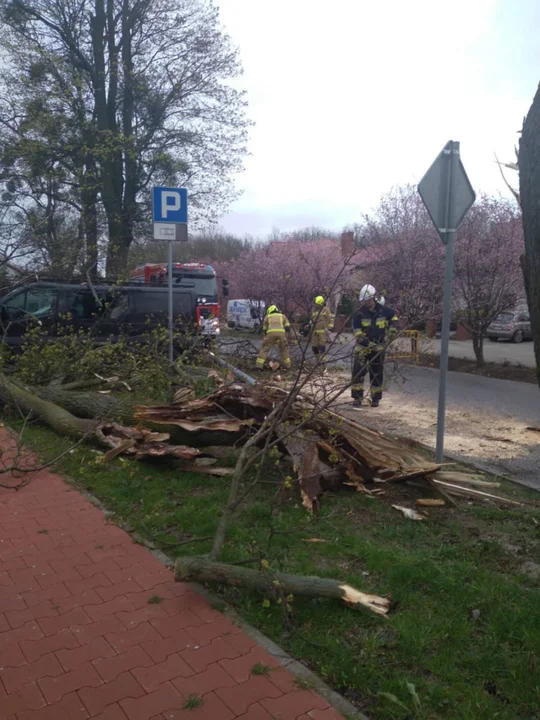 Silny wiatr spowodował szkody w powiecie gostyńskim