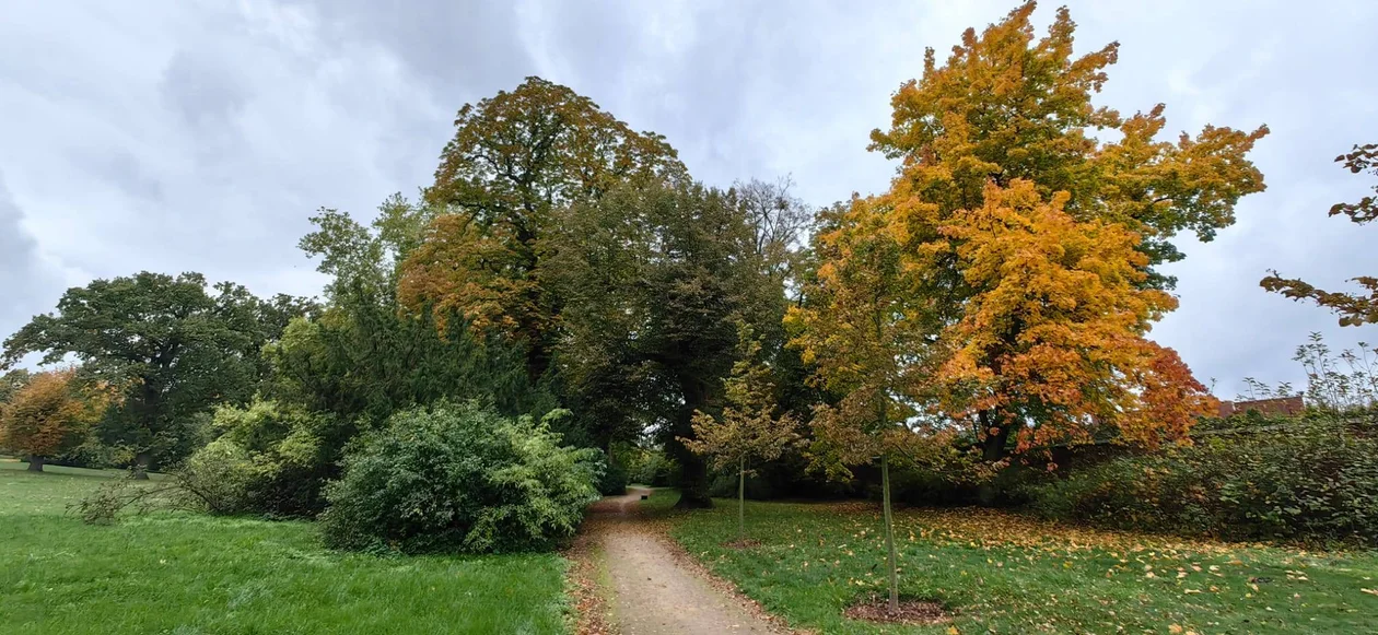 Park w Klęce to prawdziwa perełka. Warto zajrzeć tam właśnie teraz