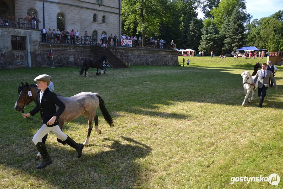 Rokosowo Horse Show 20224 - Konie i Powozy na Zamku Wielkopolskim w Rokosowie