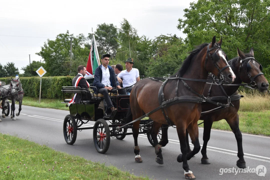 Jubileuszowa, bo XV Regionalna Wystawa Zwierząt Hodowlanych w Pudliszkach