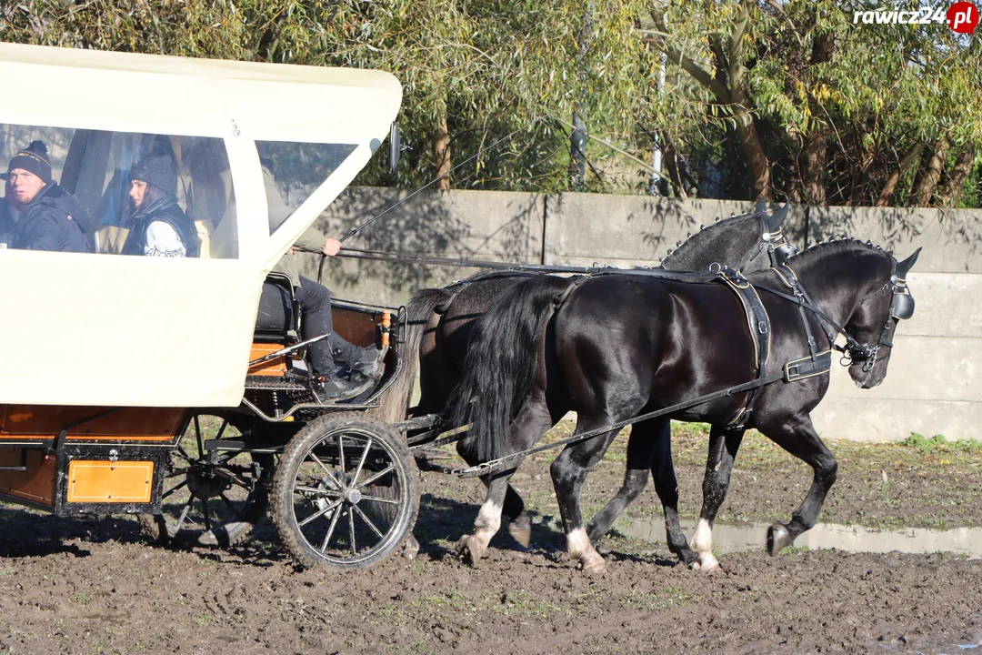 Hubertus w Dębnie Polskim