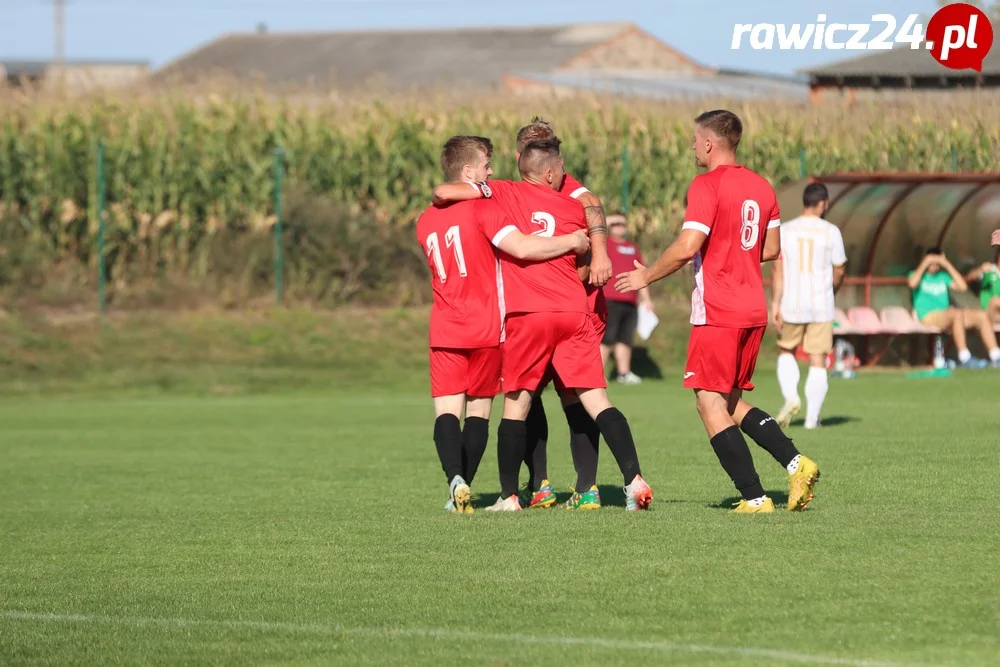 Awdaniec Pakosław - Wisła Borek Wielkopolski 2:5