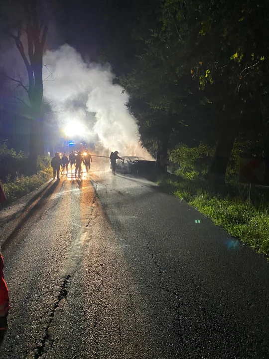 Pożar auta na trasie Brzezie-Pleszówka