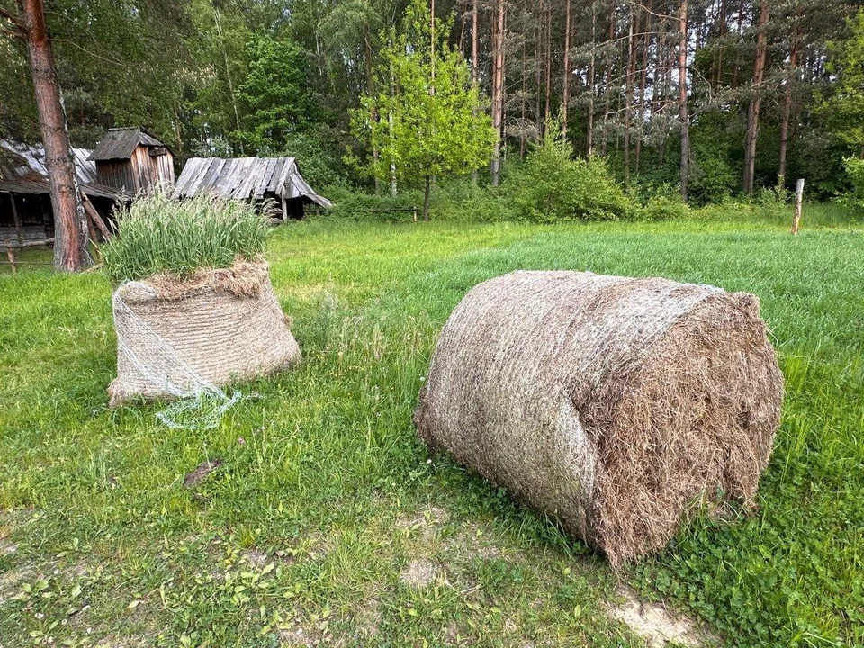 Skansen w Kolbuszowej