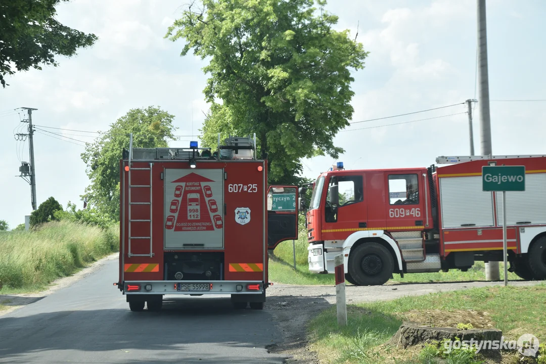 Pożar lasu na granicy powiatu gostyńskiego