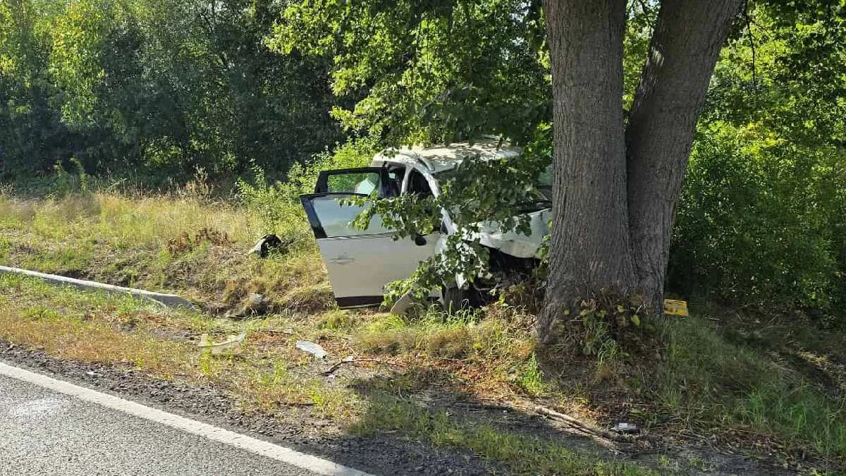 Czołowe zderzenie renault z drzewem na DK36 w Wąsoszu. Autem podróżowała rodzina z powiatu gostyńskiego - Zdjęcie główne