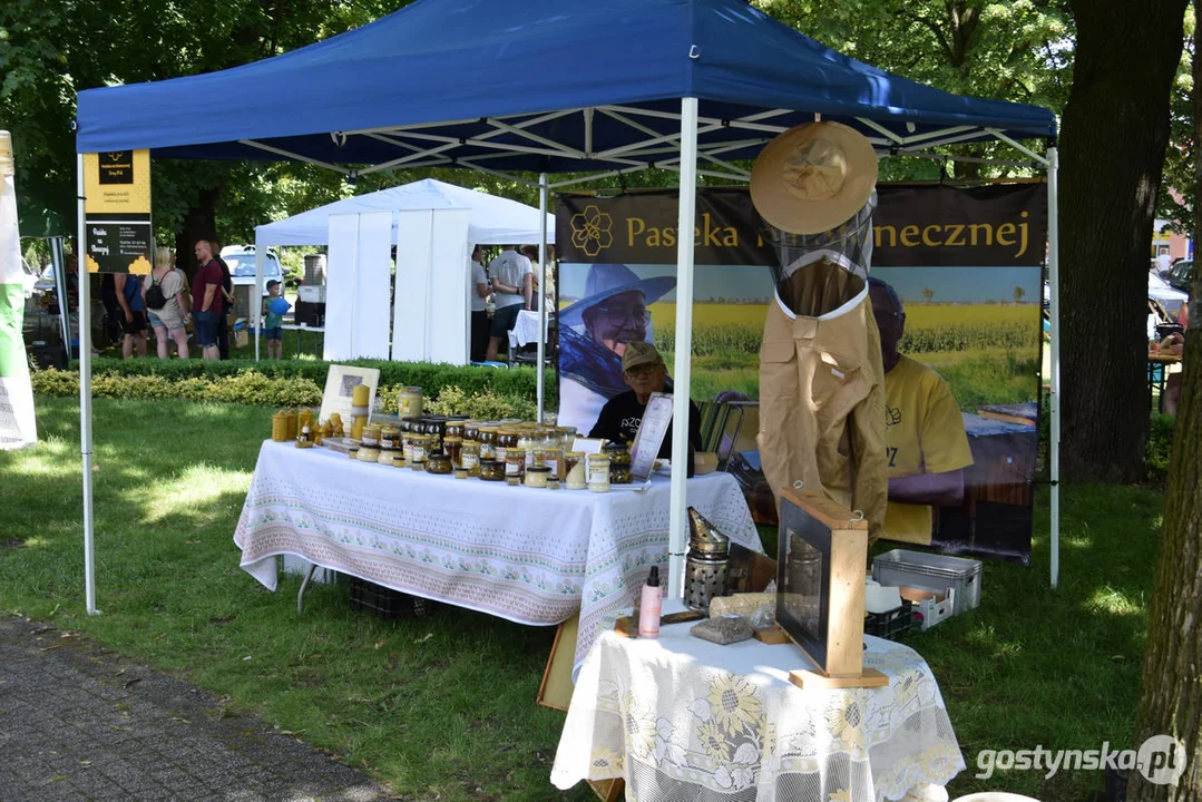 II Kulturalny Piknik na Plantach w Gostyniu