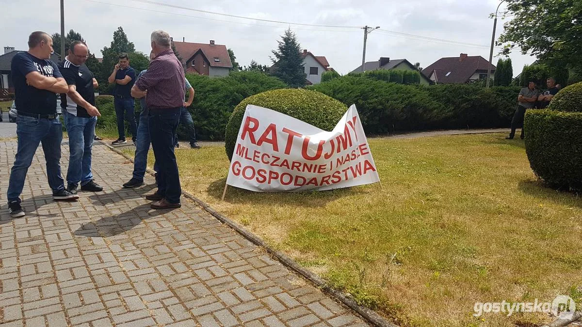 Protest rolników - dostawców Spółdzielni Mleczarskiej w Gostyniu