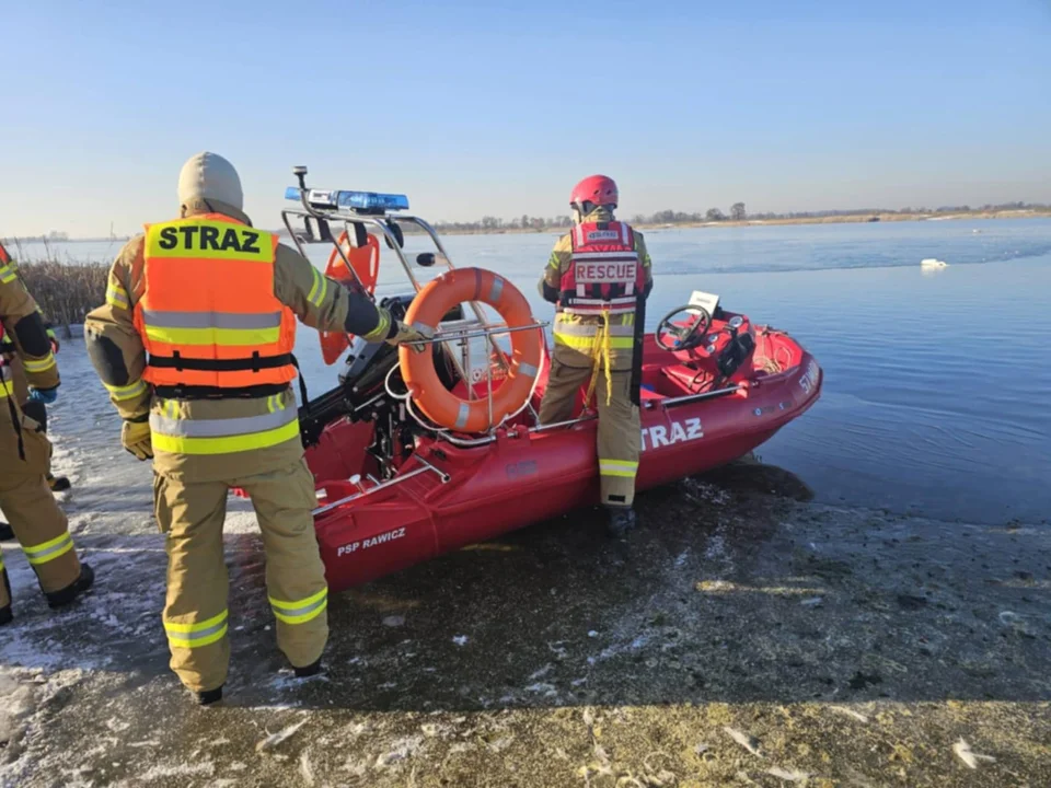 Kilkadziesiąt martwych łabędzi w gminie Jutrosin. Strażacy w akcji - Zdjęcie główne