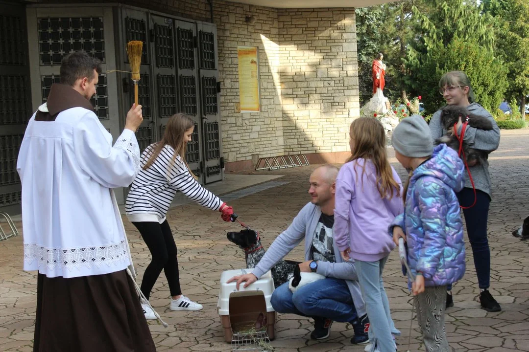 U franciszkanów w Jarocinie z okazji odpustu błogosławiono zwierzęta