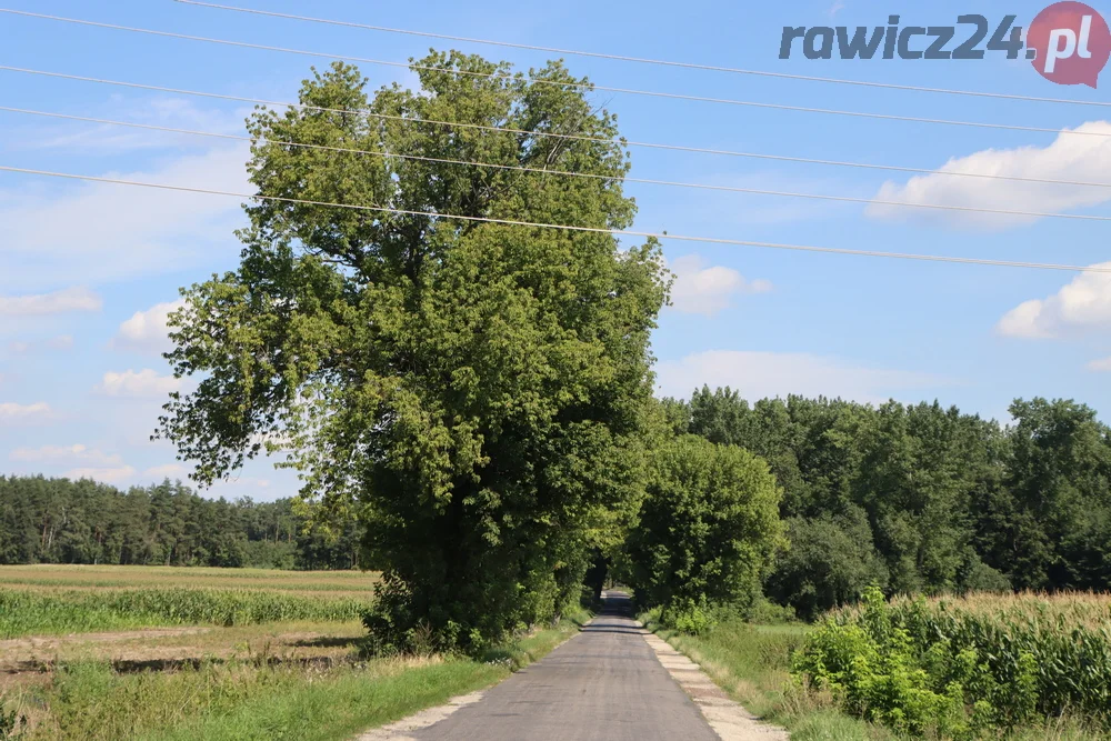 Droga Gołaszyn - Wydartowo Pierwsze będzie zmodernizowana