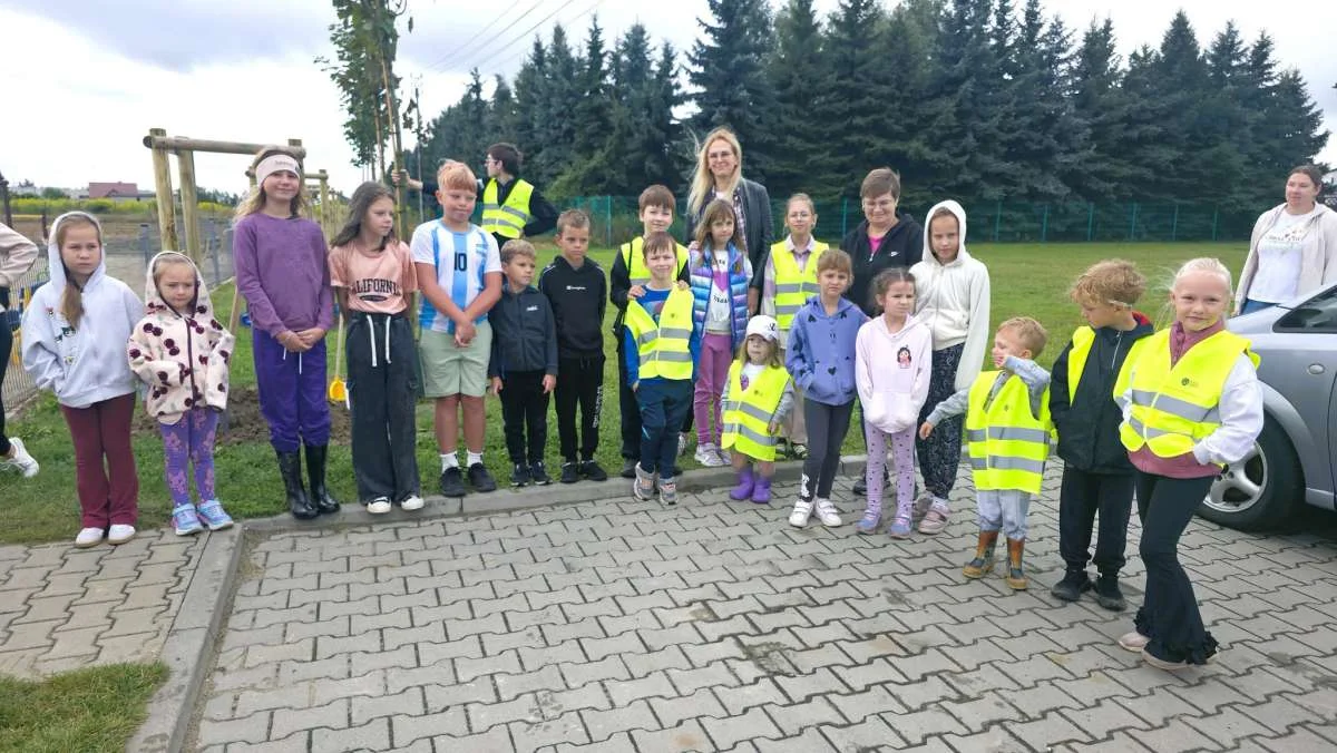 Sadzenie drzew na osiedlu Zatorze w Jarocinie