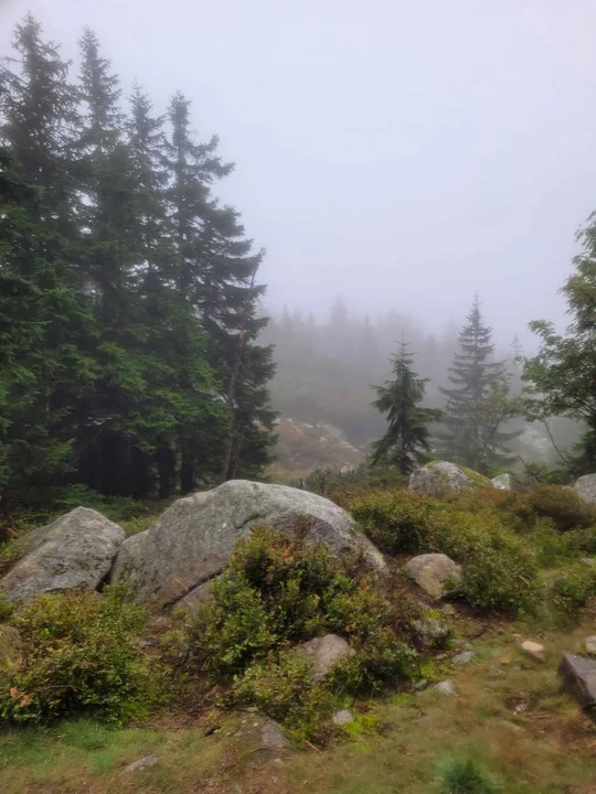 Nocna wyprawa na Śnieżkę - mieszkańcy Gostynia, Borku i okolic z Przyjacielską Grupą Biegową Leśne Dziki