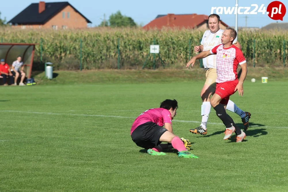 Awdaniec Pakosław - Wisła Borek Wielkopolski 2:5