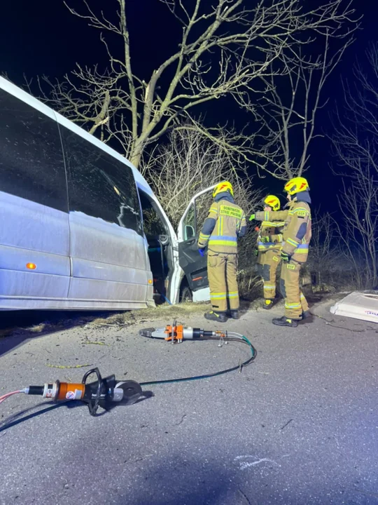 Bus wjechał do rowu. Służby interweniowały w miejscowości Trzebowa - Zdjęcie główne