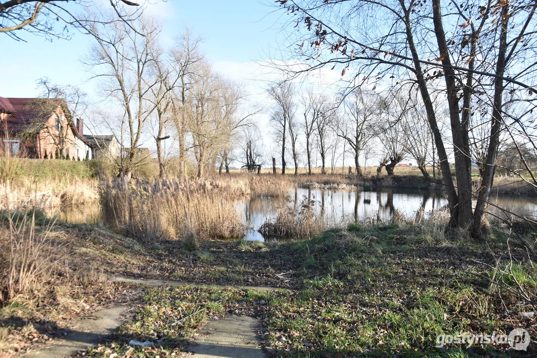 Gmina Gostyń planuje renowację stawów