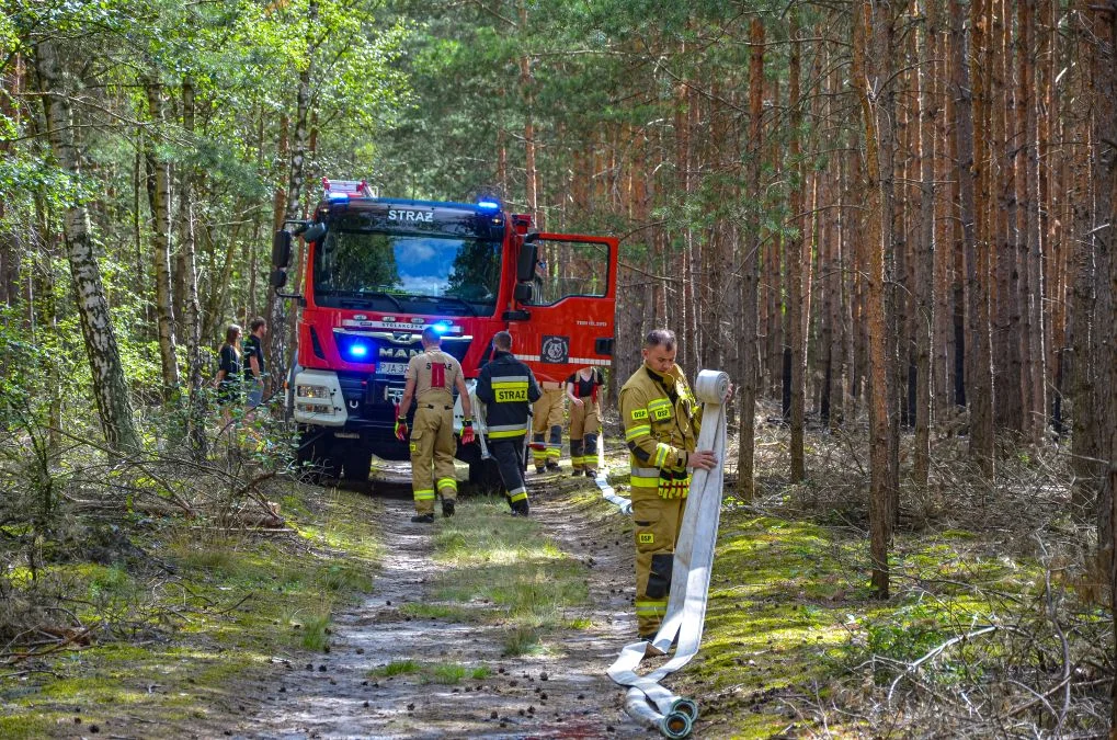 Pożary lasów w gminie Jarocin