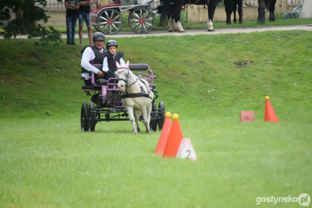 Rokosowo Horse Show 2024 - dzień pierwszy