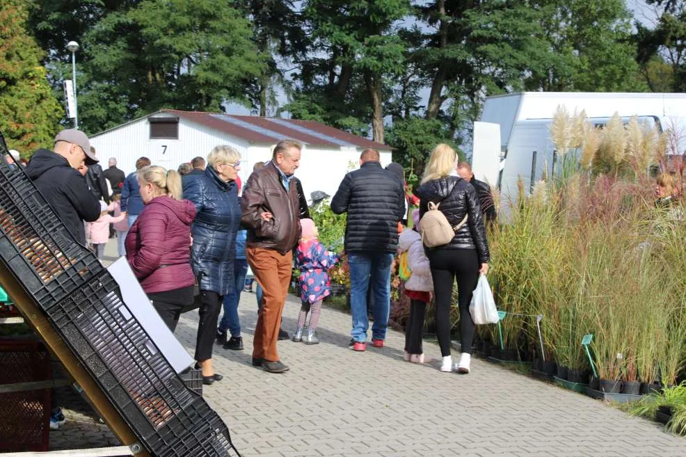 Wyróżnienie dla KGW w Witaszyczkach na targach w Marszewie