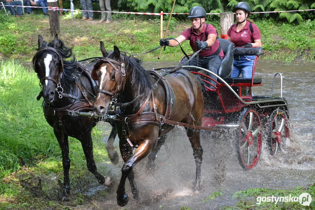 Rokosowo Horse Show 20224 - Konie i Powozy na Zamku Wielkopolskim w Rokosowie