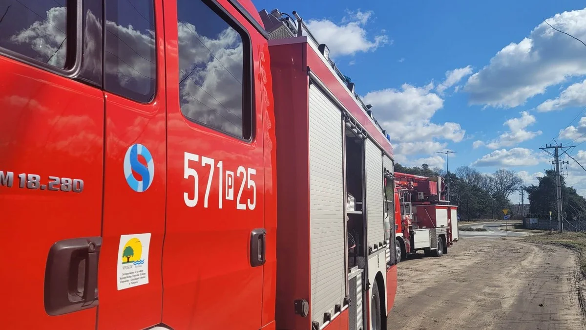 Pożar w budynku jednorodzinnym. Straty są duże - Zdjęcie główne