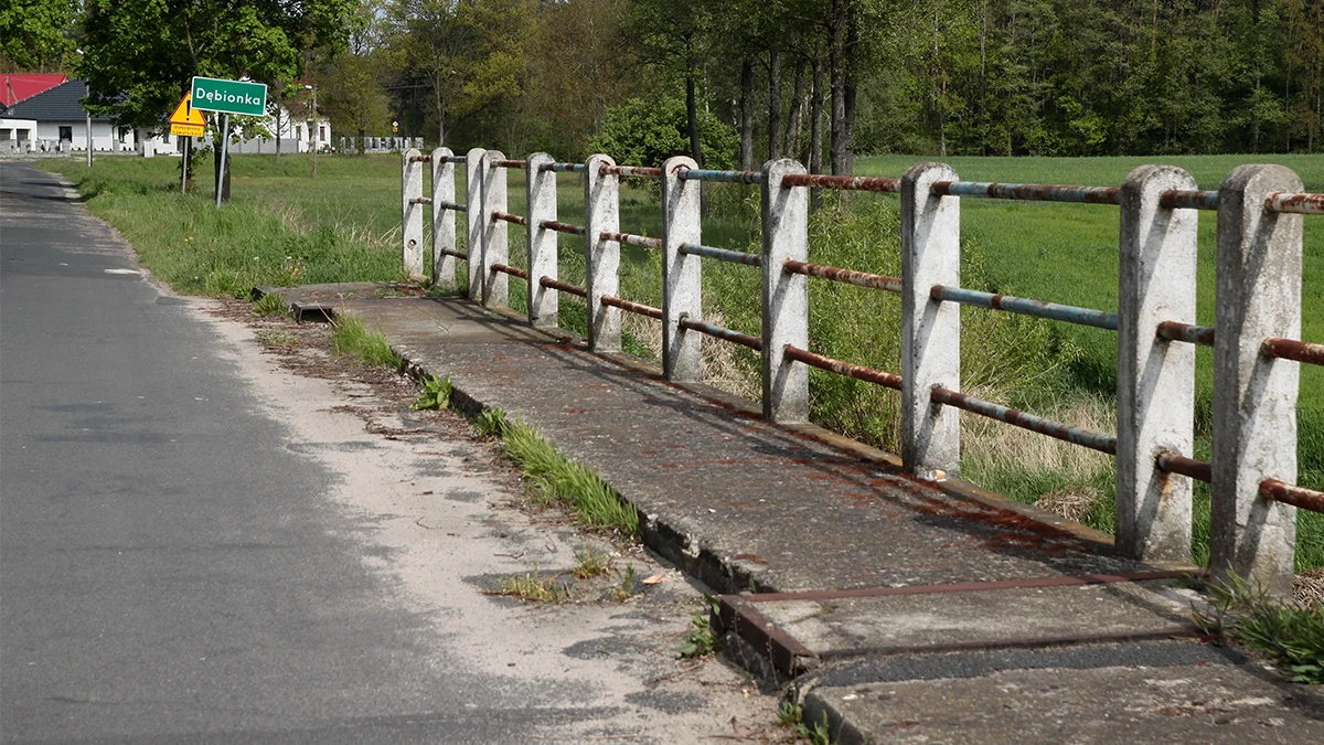 Na ryby, potem na piwo do Zielonego Jelenia - Zdjęcie główne