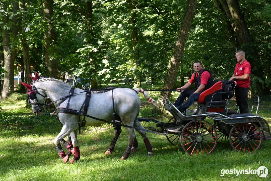 Rokosowo Horse Show 20224 - Konie i Powozy na Zamku Wielkopolskim w Rokosowie