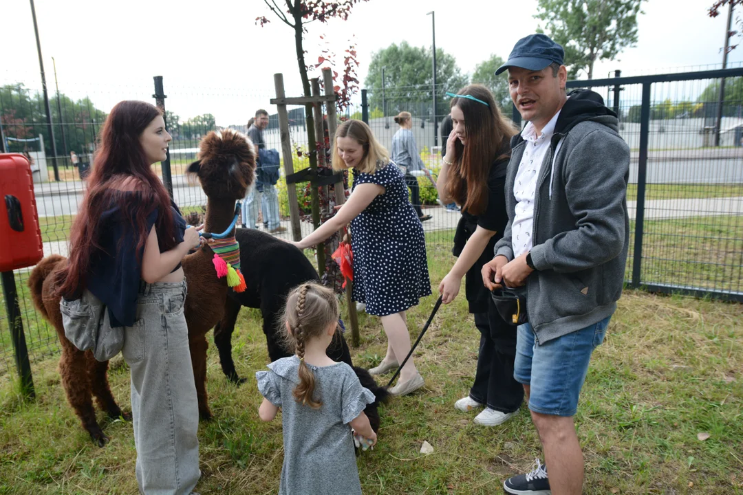 KrotoFEST 2024 na krotoszyńskich Błoniach