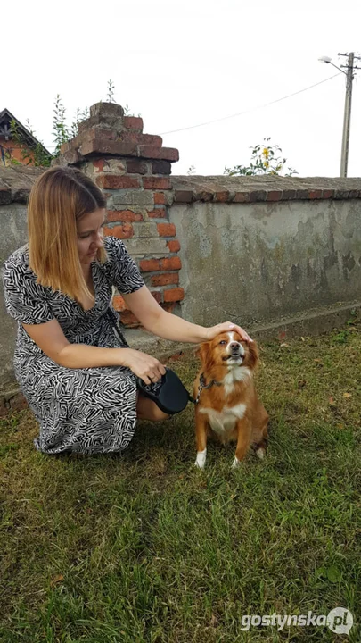 Błogosławieństwo zwierząt domowych w kościele w Starym Gostyniu