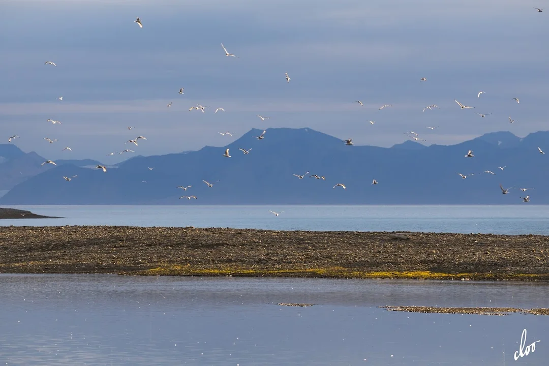 Wyprawa pleszewian na Spitsbergen